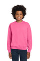 Safety Pink