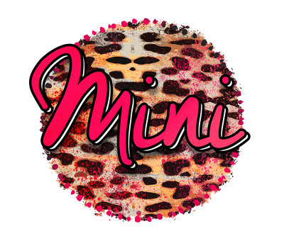 CheetahMini