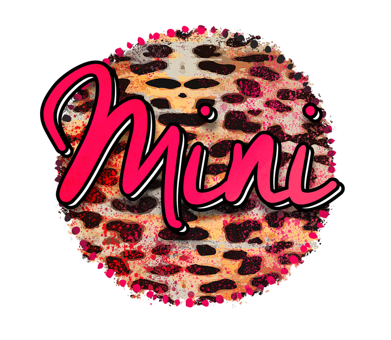 CheetahMini