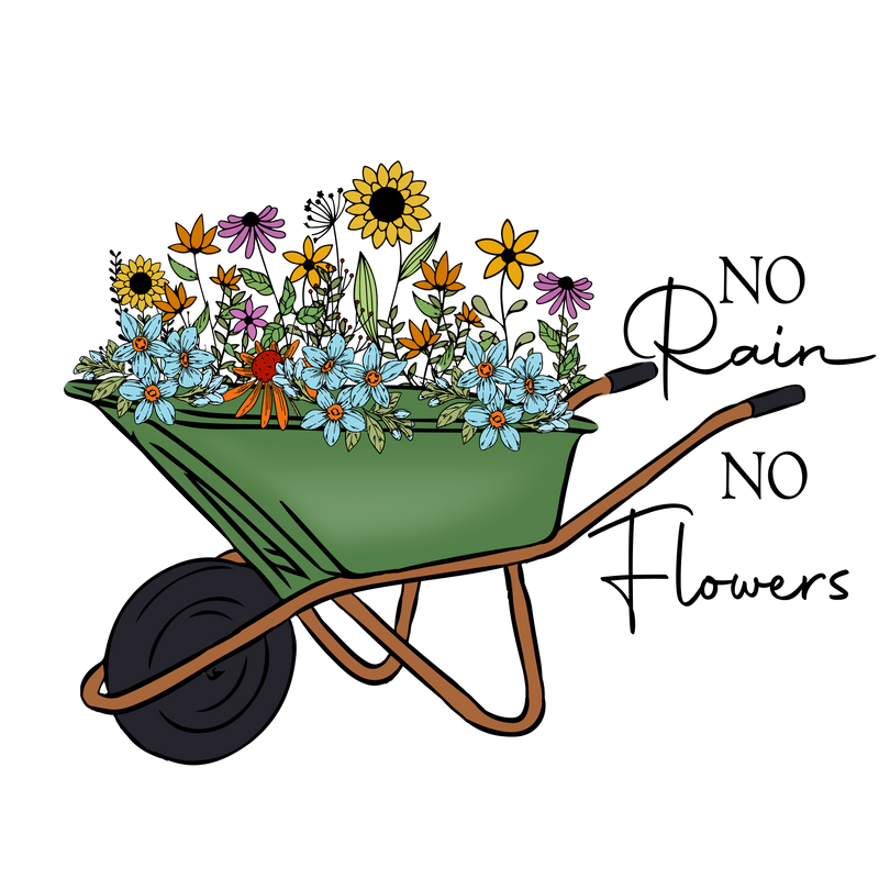 no rain no flowers