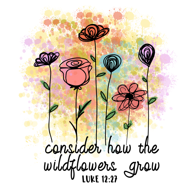 cansider how the wild flowers grow