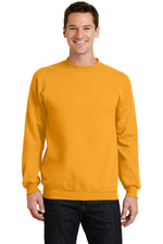 Port & Co ™  Core Fleece Crewneck Sweatshirt. PC78