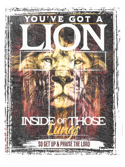 youve_got_a_lion_distressed2