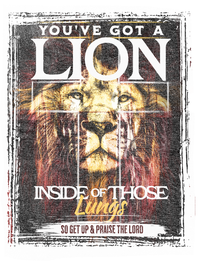 youve_got_a_lion_distressed2